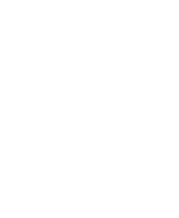 DiFeed poultry feed bags